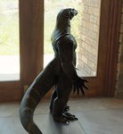 anthro claws door inside light male photo_background solo standing sunlight maxwellshiba komodo_dragon lizard lizardman monitor_lizard reptile scalie photography_(artwork)