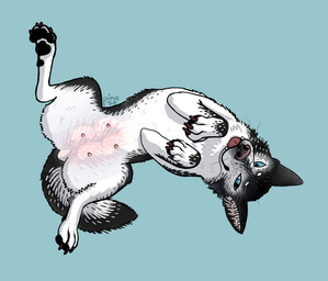 animal_genitalia animal_vulva belly blep canine_genitalia canine_vulva canine_vulva_from_the_front female feral genitals looking_at_viewer lying neck_tuft nipples nude on_back pawpads paws pink_belly pink_nipples solo spread_legs spreading teats tongue tongue_out tuft vulva whiskers pine_(lupinecone) canid canine canis domestic_dog husky mammal nordic_sled_dog spitz absurd_res digital_media_(artwork) hi_res