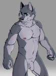 5_fingers anthro athletic athletic_anthro athletic_male chest_tuft eyebrows fingers fist flaccid foreskin fur genitals grey_background grey_body grey_fur humanoid_genitalia humanoid_penis male navel nipples nude penis simple_background solo standing tuft enokorogusa2 third-party_edit canid canine canis mammal wolf 2019 digital_media_(artwork) hi_res sketch upscale