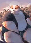 anthro belly big_belly black_nose bottomwear brown_body clothing detailed_background eyes_closed kemono male outside overweight overweight_male shirt shorts sitting solo topwear white_body l4zily canid canine canis domestic_dog mammal 2022 absurd_res hi_res