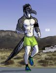 anthro beak bottomwear bulge clothed clothing compression_shorts feathered_wings feathers looking_at_viewer male multicolored_body multicolored_feathers muscular muscular_anthro muscular_male nipples outside pecs running shorts solo tail tail_feathers topless winged_arms wings yellow_eyes bgn under_armour ben_(bgn) avian bird cuculiform new_world_ground_cuckoo roadrunner 2018