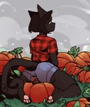 anthro big_butt black_body black_fur black_hair bottomwear butt clothing denim denim_bottomwear denim_clothing denim_shorts female flannel food fruit fur hair looking_back pawpads pink_pawpads plant pumpkin pumpkin_patch shorts sitting sitting_on_pumpkin smile solo vines yellow_eyes minuwa tsuda_delcatte bombay_cat domestic_cat felid feline felis mammal hi_res