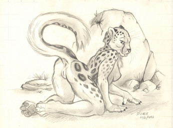 anus areola big_breasts breasts butt feline female leopard looking_at_viewer mammal monochrome nipples nude presenting presenting_anus presenting_hindquarters presenting_pussy pussy scale_(artist) solo tongue
Rating: Explicit
Score: 12
User: ippiki_ookami
Date: April 16, 2014