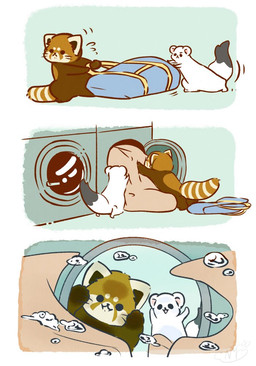 ambiguous_gender appliance bag bedding biped blanket chibi duo feral fur laundry laundry_machine orange_body orange_fur washing_machine white_body white_fur shi_nominmin ailurid mammal mustelid musteline red_panda stoat true_musteline weasel 2019 comic