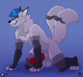 all_fours animal_genitalia anthro arm_warmers_(marking) balls big_balls big_penis blue_hair brown_eyes chest_markings claws erection genitals grey_body hair knot leg_markings male markings multi_tail penis pubes red_penis saggy_balls sheath smile socks_(marking) solo tail teeth kwik_(artist) thatblackfox alex_fox_(foxruntime) arctic_fox canid canine fox mammal true_fox absurd_res hi_res