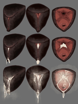 animal_genitalia animal_vulva bodily_fluids canine_genitalia canine_vulva clitoral_fossa cum cum_drip cum_in_vagina cum_inside cum_string disembodied_vulva dripping female genital_fluids genitals leaking_cum multiple_angles precum solo spread_vulva spreading vulva fifity digital_drawing_(artwork) digital_media_(artwork) hi_res shaded