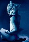 anthro butt clothed clothing collar crossdressing femboy hair looking_at_viewer looking_back male panties paws solo underwear white_hair nayel-ie canid canine fox mammal