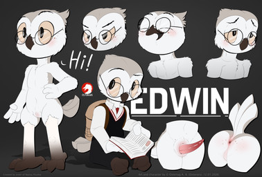 animal_genitalia anthro anus backpack beak black_eyes clothed clothing erection expressions eyewear genital_slit genitals glasses male nude penis raised_tail simple_background sitting solo standing tail tapering_penis text wearing_glasses young young_anthro young_male conditional_dnp osterars edwin_(neozaplushie) avian barn_owl bird owl tyto tytonid implied_penis 2026 absurd_res english_text hi_res model_sheet signature watermark