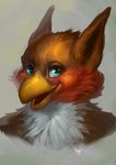 feathers feral fur male solo sgr_shtilskhen mythology granistad avian gryphon mythological_avian mythological_creature 2020 digital_drawing_(artwork) digital_media_(artwork) headshot_portrait hi_res portrait signature