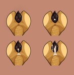 animal_genitalia animal_vulva anus bodily_fluids butt canine_genitalia canine_vulva cum cum_drip cum_inside disembodied dripping female feral genital_fluids genitals in_heat leaking_cum presenting presenting_anus presenting_cum_inside presenting_vulva solo vaginal vulva fifity canid canine mammal colored digital_drawing_(artwork) digital_media_(artwork) shaded