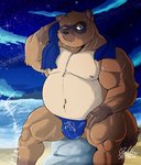 anthro beach belly blue_eyes brown_body brown_fur bulge clothing fur humanoid_hands male moobs musclegut muscular navel night nipples outside overweight overweight_anthro overweight_male seaside sitting solo towel underwear water wet deadanthro animal_crossing nintendo tom_nook_(animal_crossing) canid canine mammal raccoon_dog tanuki 2020