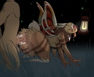 4_arms ambiguous_gender ambiguous_penetration anthro anthro_penetrated blush blush_lines bodily_fluids detailed_background doggystyle drooling duo fluffy from_behind_position grass human_on_anthro human_penetrating human_penetrating_anthro hypnosis insect_wings interspecies lamp lamp_hypnosis male male/ambiguous male_on_anthro mind_control multi_arm multi_limb night outside outside_sex penetration plant plap ringed_eyes saliva sex thick_thighs tongue tongue_out wings frazy mothball_(frazy) arthropod beetle elateroid firefly human insect lepidopteran mammal moth
