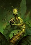 ambiguous_gender anthro solo wings pechschwinge arthropod 2020 digital_media_(artwork) green_theme hi_res