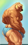 anthro back_muscles barazoku beard big_bulge blonde_hair blush blush_lines body_hair brown_body brown_fur bulge butt chest_hair clothed clothing facial_hair fur hair looking_at_viewer male musclegut muscular muscular_male muscular_thighs pecs pose short_tail sky solo speedo speedo_only swimwear tail tan_body tan_fur tenting three-quarter_view topless wet wet_body wet_fur bristol bear brown_bear mammal ursine 2024 hi_res pinup portrait three-quarter_portrait