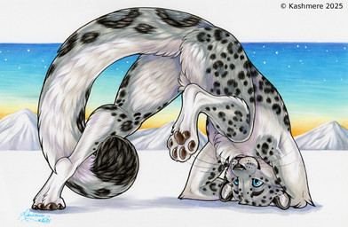 4_toes anthro arm_tuft blue_eyes dipstick_tail elbow_tuft feet fur grey_body grey_fur hill leopard_spots male markings nude_anthro nude_male pawpads paws pose sky snow solo spots star starry_sky sunset tail tail_markings text toes tuft upside_down whisker_spots whiskers kashmere felid mammal pantherine snow_leopard 2025 artist_name signature traditional_media_(artwork)