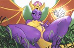 anthro anthrofied anus breasts crossgender crown female genitals headgear lying membrane_(anatomy) membranous_wings mtf_crossgender nipples non-mammal_breasts non-mammal_nipples on_back on_grass plump_labia purple_body purple_scales pussy scales solo spread_legs spreading super_crown tail wings askart activision mario_bros mythology nintendo spyro_the_dragon sparx spyro dragon mythological_creature mythological_scalie scalie hi_res