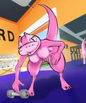 anthro clothed clothing female gym inside mirror pink_body pink_scales scales solo weights mystery-goop pinki_(mystery-goop) reptile scalie snake