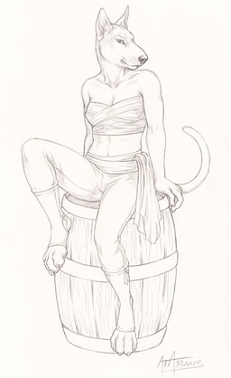anthro barrel bottomwear breasts chest_wraps claws clothing female finger_claws footwear fur looking_at_viewer medium_breasts nipple_outline pants paws pointy_ears prick_ears sash simple_background sitting sitting_on_barrel solo spats tail toe_claws toeless_footwear whisker_spots white_background wraps rukis bull_terrier canid canine canis domestic_dog hunting_dog mammal terrier 2015 monochrome signature traditional_media_(artwork)
