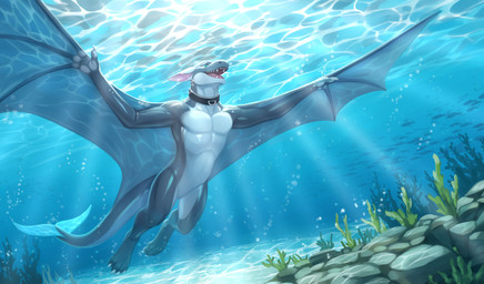anthro claws collar featureless_crotch looking_aside male nude open_mouth open_smile smile solo underwater water winged_arms wings fridaflame european_mythology mythology aquatic cetacean dolphin dragon hybrid mammal mythological_creature mythological_scalie scalie toothed_whale western_dragon wyvern hi_res