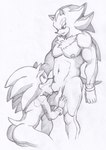 anthro balls duo genitals male male/male muscular muscular_male nipples oral penetration penis size_difference smaller_penetrated tailverknk sega sonic_the_hedgehog_(series) shadow_the_hedgehog sonic_the_hedgehog eulipotyphlan hedgehog mammal absurd_res hi_res sketch