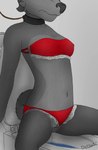 anthro bikini clothing clothing_aside collar female genitals panties panties_aside pussy shy solo spread_legs spreading swimwear toilet two-piece_swimsuit underwear underwear_aside young young_anthro darkholm1 bianca_(darkholm1) canid canine canis domestic_dog mammal wolf hi_res