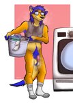 anthro balls blue_hair body_hair clothing drevin_drgnwuff eyewear footwear genitals glasses hair hairy laundry_basket male musk nonchalant pubes saggy_balls socks solo tigerthemeerkat herpestid mammal meerkat hi_res