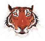 ambiguous_form ambiguous_gender cheek_tuft facial_tuft front_view fur glistening glistening_eyes looking_at_viewer orange_body orange_eyes orange_fur simple_background solo tuft whiskers white_background white_body white_fur blackscour felid mammal pantherine tiger hi_res