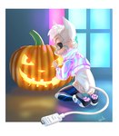ambiguous_gender anthro biped black_boots black_clothing black_footwear black_nose black_sclera blue_markings boots clothed clothing costume cute_fangs fangs footwear hair halloween_costume holding_object holidays jack-o'-lantern jacket legwear leotard looking_at_object markings shoes short_hair solo tan_body teeth thigh_boots thigh_highs topwear usb_tail whiskers white_clothing white_hair white_jacket white_leotard white_topwear young young_ambiguous young_anthro galo halloween floofy_(character) domestic_cat felid feline felis mammal 2024 hi_res
