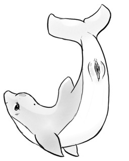 anatomically_correct anatomically_correct_genitalia anatomically_correct_vulva animal_genitalia animal_vulva cetacean_genitalia cetacean_vulva female feral genitals presenting presenting_vulva solo unsigned vulva drmyro aquatic cetacean dolphin mammal oceanic_dolphin toothed_whale monochrome