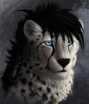 2016 ambiguous_gender anchee black_hair black_spots blue_eyes bust_portrait cheetah facial_markings felid feline feral fluffy fur hair head_markings headshot_portrait hi_res inner_ear_fluff mammal markings miksn portrait simple_background solo spots spotted_body spotted_fur tear_(marking) tuft whiskers white_body white_fur