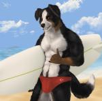 abs beach biceps black_body black_fur board bottomwear brown_body brown_fur clothing fur gesture hand_gesture male multicolored_body multicolored_fur muscular muscular_male pants pubes sea seaside shaka_sign solo surfboard vehicle water watercraft white_body white_fur tintiai bernese_mountain_dog canid canine canis domestic_dog mammal molosser mountain_dog swiss_mountain_dog hi_res