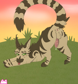 animal_genitalia animal_penis anus arch_position arched_back balls brown_body brown_fur butt claws ear_tuft feline_genitalia feline_penis feral from_front_position fur genitals green_eyes head_tuft logo long_tail looking_at_viewer looking_back male markings outside penile_spines penis pose presenting presenting_balls presenting_hindquarters presenting_penis seductive sex simple_background solo striped_body striped_fur striped_markings stripes tail tan_body tan_fur toe_claws tongue tongue_out tuft whitefroggim warriors_(book_series) longtail_(warriors) domestic_cat felid feline felis mammal tabby_cat artist_logo hi_res pinup