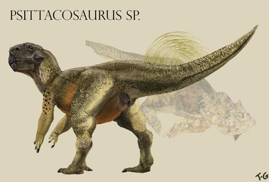 ambiguous_gender animal_genitalia beak biped brown_body brown_scales cheek_spikes claws cloaca facial_spikes feral fossil genitals looking_back orange_body orange_scales quills_(anatomy) scales simple_background solo spikes spikes_(anatomy) tail tailbutt tan_body tan_scales text tessasaurus_rex ceratopsian dinosaur marginocephalian ornithischian prehistoric_species psittacosaurus reptile scalie english_text signature species_name