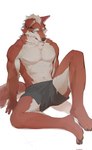 abs anthro athletic biceps black_nose blue_eyes bottomwear chest_tuft claws clothed clothing feet fur hair head_tuft looking_ahead looking_forward male markings muscular muscular_anthro muscular_male neck_tuft pecs pupils red_body red_fur serratus shorts simple_background sitting slit_pupils solo tail topless torn_bottomwear torn_clothing torn_shorts tuft underwear undressed white_background white_body white_fur white_hair 1sharkwind canid canine canis mammal wolf 2023 hi_res