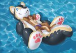 animal_pool_toy anthro arms_bent bent_legs bulge clothing eyes_closed floating hands_behind_head inflatable inflatable_ride inflatable_support lying lying_on_pool_toy male on_back on_pool_toy outside pool_toy raised_arms relaxing solo swimwear water waterscape deusexmoose inanimate_object mammal mustelid otter 2019 digital_media_(artwork) digital_painting_(artwork) hi_res painting_(artwork)