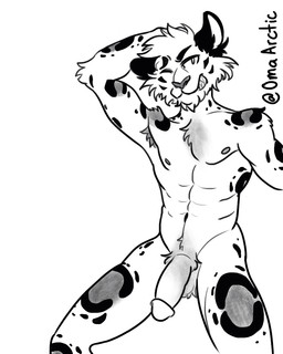 abs anthro flexing fluffy genitals male muscular pecs penis solo felid mammal pantherine snow_leopard 4:5 monochrome sketch