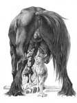 anatomically_correct anatomically_correct_anus anatomically_correct_genitalia anatomically_correct_penis animal_genitalia animal_penis anthro anthro_on_feral anus balls bestiality bodily_fluids cum cum_everywhere cum_on_body cum_on_chest cum_on_face cum_on_ground duo equine_genitalia equine_penis fellatio feral flared_penis genital_fluids genitals male male/male messy oral penile penis quadruped servicing_from_below sex a_inc bucephalus kinoborikun equid equine horse macropod mammal marsupial tree-kangaroo 2021 greyscale hi_res monochrome