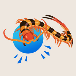 ambiguous_gender antennae_(anatomy) black_eyes black_stripes circle dot_eyes feral multi_limb orange_body orange_legs segmented_body simple_background simple_eyes solo striped_body stripes tail white_background cuttledreams arthropod centipede myriapod tiger_centipede 1:1 digital_drawing_(artwork) digital_media_(artwork) watermark