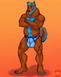 anthro beard big_bulge blue_clothing blue_underwear bulge clothing facial_hair male mature_anthro mature_male musclegut muscular muscular_anthro muscular_male solo standing underwear kadohusky canid canine mammal 4:5 hi_res