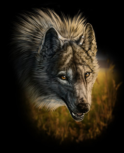 black_lips black_nose feral fur grey_body grey_fur lips open_mouth orange_eyes solo teeth tongue wolfroad canid canine canis mammal wolf 2015 digital_media_(artwork) headshot_portrait hi_res portrait