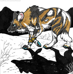 ambiguous_feral ambiguous_gender black_body black_fur black_nose blue_eyes blue_pawpads brown_body brown_fur cheek_tuft chest_tuft facial_tuft feral fur glistening glistening_eyes mouth_closed neck_tuft outside pawpads shadow side_view solo text tuft whiskers white_body white_fur heatherwolf african_wild_dog canid canine mammal hi_res partially_colored url