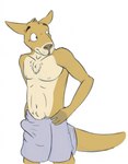 anthro belly belly_tuft biped black_eyebrows brown_body brown_ears brown_eyes brown_fur brown_tail chest_tuft erection erection_under_towel eyebrows fur grey_towel hand_on_hip head_tuft looking_aside male navel nipples simple_background solo standing tail tan_belly tan_body tan_fur towel towel_around_waist towel_only tuft white_background bucklebunny kangaroo macropod mammal marsupial digital_media_(artwork) hi_res