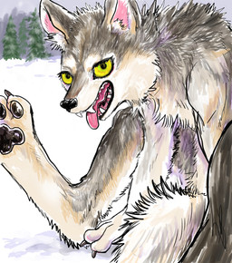 ambiguous_gender anthro black_nose claws fangs female forest fur grey_body grey_fur looking_at_viewer nude open_mouth outside pawpads paws plant smile snow solo teeth tongue tongue_out tree yellow_eyes sibaketsu mythology canid canine canis mammal mythological_canine mythological_creature werecanid werecanine werecreature werewolf wolf 2019