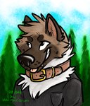 anthro black_clothing black_nose black_shirt black_topwear blep blue_sky brown_body brown_collar brown_fur clothed clothing collar day detailed_background forest fur looking_up male outside pink_tongue plant shirt sky smile snout solo text tongue tongue_out topwear tree whisker_spots matrices_(artist) kai_(scpkid) akita american_akita canid canine canis domestic_dog mammal spitz 2016 bust_portrait digital_drawing_(artwork) digital_media_(artwork) portrait shaded signature url