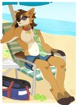 anthro bag ball beach beverage clothing eyewear eyewear_on_head lawn_chair male relaxing solo sunglasses sunglasses_on_head swimming_trunks swimwear tennis_ball towel towel_on_shoulder wolflady scott_(corgipudding) canid canine canis domestic_dog herding_dog mammal pastoral_dog welsh_corgi 2024