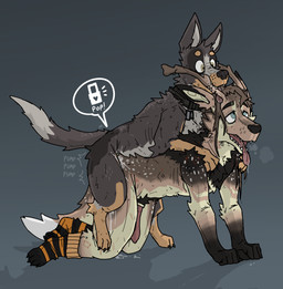all_fours anal anal_knotting anal_penetration animal_genitalia animal_penis anthro anthro_on_feral anthro_penetrated antler_bite antlers bestiality bite bite_mark biting_another biting_partner bodily_fluids breath cervine_genitalia cervine_penis claw_marks claws clothing collar collar_only cum cum_drip dog_tags dripping drooling duo erection feral feral_penetrating feral_penetrating_anthro footwear from_behind_position genital_fluids genitals grabbing_from_behind horn knotting knotting_symbol leaking_cum lock_symbol male male/male male_on_feral male_penetrated male_penetrating male_penetrating_male mounting nude panting penetration penile penile_penetration penis pop_(sound_effect) pump_(sound_effect) quadruped saliva scratches sex simple_background socks teeth tongue tongue_out ricthecusco brazilian_dawg_(ricthecusco) brokenpaw australian_cattle_dog canid canine canis cattledog cryptid domestic_dog herding_dog mammal pastoral_dog