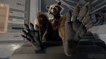 5_toes anthro claws feet first_person_view foot_focus full_foot_pawpads genitals male masturbation nude paws penile penile_masturbation penis simple_background solo toes rockyrcoon stormrider guardians_of_the_galaxy marvel rocket_raccoon mammal procyonid raccoon 16:9 3d_(artwork) 4k absurd_res blender_(artwork) digital_media_(artwork) hi_res widescreen