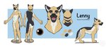 anthro feral male solo thathornycat lenny_(ownerofallgames) canid canine canis domestic_dog german_shepherd herding_dog mammal pastoral_dog model_sheet