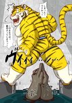 anthro balls belly clothing duo fur genitals humanoid_hands jockstrap kancho kemono male moobs nipples overweight overweight_male solo_focus text underwear water white_body white_fur yellow_body yellow_fur raichoclub felid mammal pantherine tiger 2019 hi_res japanese_text