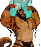 anthro barazoku beard biceps black_hair body_hair bracelet chain chest_hair clothed clothing facial_hair flexing hair jewelry male muscular muscular_anthro muscular_male navel nipples pecs smile solo underwear vetrowolf canid canine canis domestic_dog german_shepherd herding_dog mammal pastoral_dog 2018 absurd_res hi_res